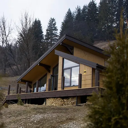 Petrick House Apartment Verkhovyna Exterior photo